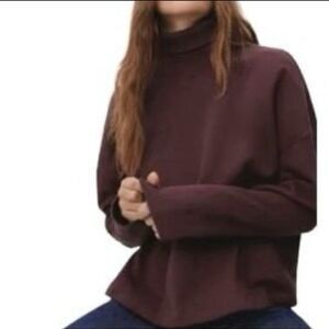 Everlane Turtleneck Sweatshirt Oversized Espresso Organic Cotton Burgundy Large
